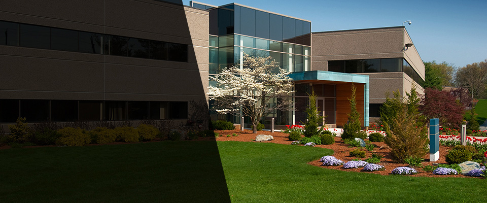 Mount Olive Landscapers