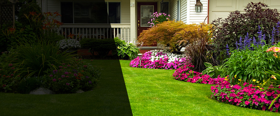 Mount Olive Landscapers