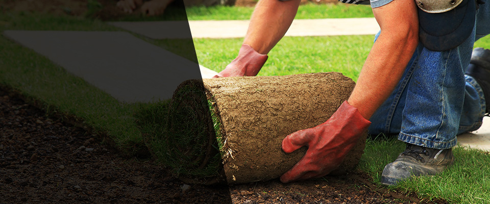 Mount Olive Landscapers